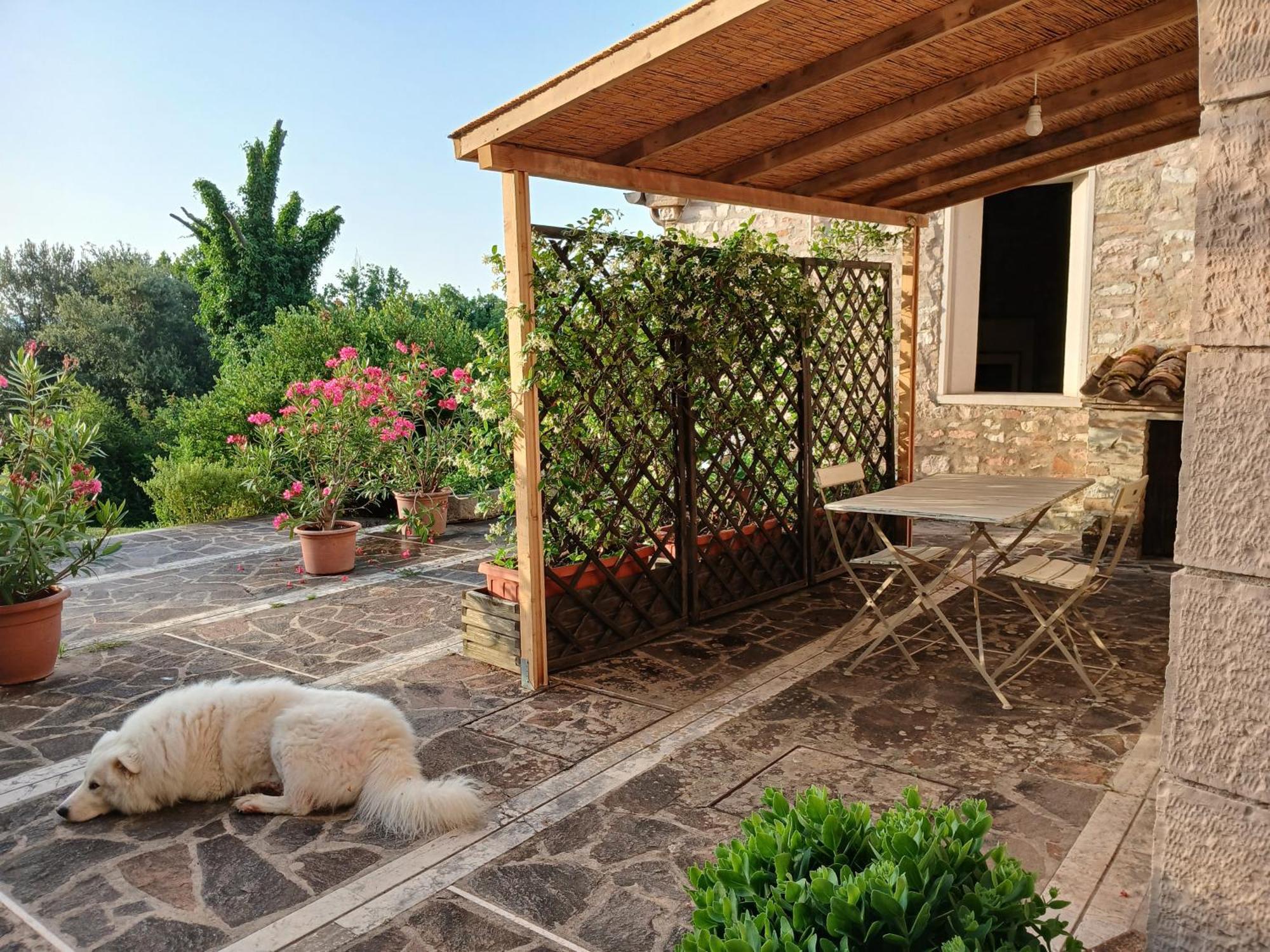 Agriturismo Del Frontino - Lo Studio Acqualagna Extérieur photo